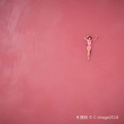 澳大利亚珀斯+杰拉尔顿+赫特潟湖7日6晚私家团 澳大利亚珀斯+杰拉尔顿+赫特潟湖7日6晚私家团