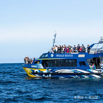 新西兰凯库拉凯库拉观鲸游船+凯库拉半岛步道2日1晚私家团