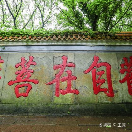 宁波+普陀山3日2晚私家团 宁波+普陀山3日2晚私家团