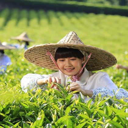 梅州雁南飞茶田景区+华侨围屋+故居一日活动 梅州雁南飞茶田景区+华侨围屋+故居一日活动