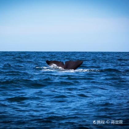 新西兰南岛环岛+北岛12日10晚私家团 新西兰南岛环岛+北岛12日10晚私家团