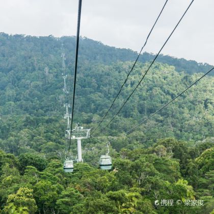 澳大利亚凯恩斯大堡礁+Skyrail发现远古热带雨林+库兰达雨林小镇+绿岛4日3晚私家团