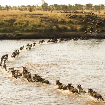 坦桑尼亚10日跟团游 坦桑尼亚10日跟团游
