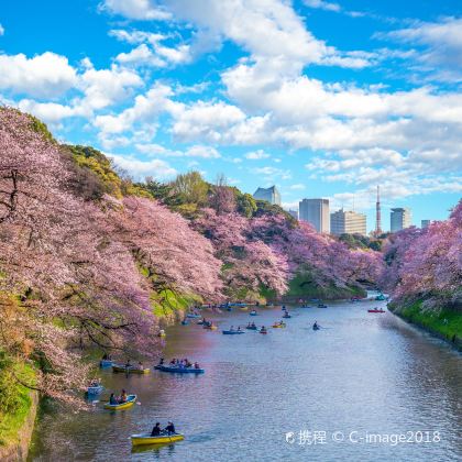 日本大阪+京都+奈良+东京8日7晚私家团