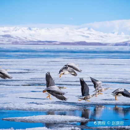 西藏15日14晚拼小团 西藏15日14晚拼小团