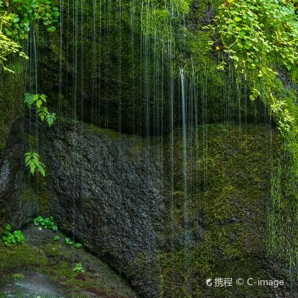 长春+长白山5日4晚私家团