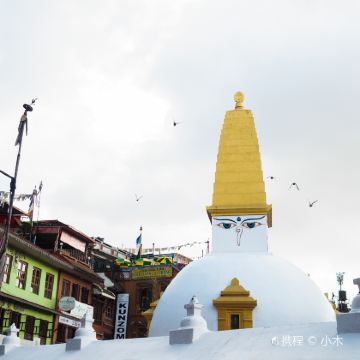 尼泊尔+孟加拉国+斯里兰卡+狮子岩+奇特旺国家公园16日14晚跟团游 尼泊尔+孟加拉国+斯里兰卡+狮子岩+奇特旺国家公园16日14晚跟团游