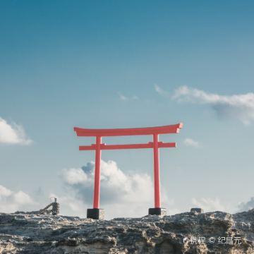 日本东京+富士山+箱根+伊豆7日私家团 日本东京+富士山+箱根+伊豆7日私家团