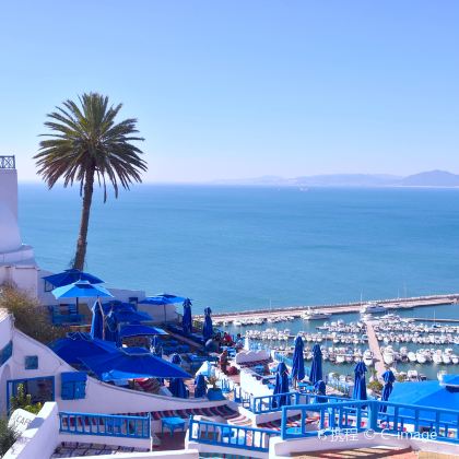 摩洛哥+突尼斯13日跟团游