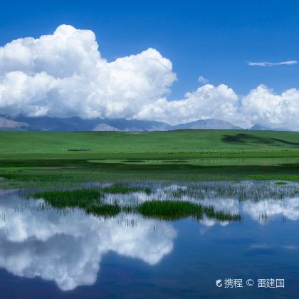 西宁+青海湖+茶卡盐湖+张掖七彩丹霞旅游景区5日4晚私家团