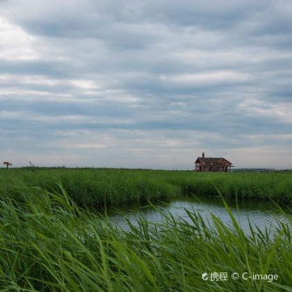 齐齐哈尔扎龙生态旅游区一日游【观赏丹顶鹤放飞芦苇荡湿地】 齐齐哈尔扎龙生态旅游区一日游【观赏丹顶鹤放飞芦苇荡湿地】