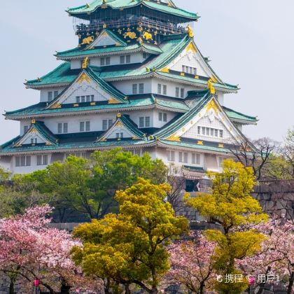 日本东京+京都+大阪+箱根+奈良10日9晚私家团