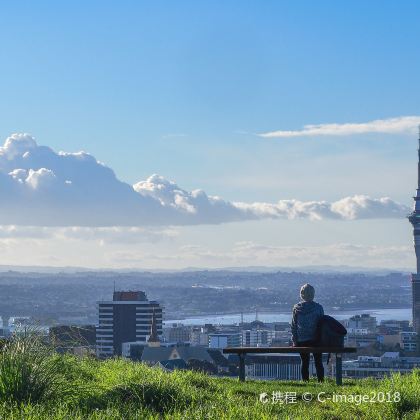 新西兰奥克兰23日20晚私家团 新西兰奥克兰23日20晚私家团