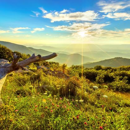 美国纽约+华盛顿+尼亚加拉瀑布6日5晚跟团游 美国纽约+华盛顿+尼亚加拉瀑布6日5晚跟团游