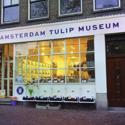 荷兰+阿姆斯特丹郁金香博物馆+辛格鲜花市场+爱士曼鲜花拍卖市场一日游