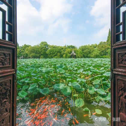 莫干山+湖州5日4晚私家团