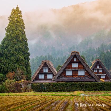 日本东京+富士山+京都+大阪+奈良市6日5晚跟团游 日本东京+富士山+京都+大阪+奈良市6日5晚跟团游