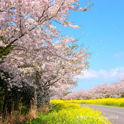 韩国首尔+釜山+济州岛9日8晚私家团