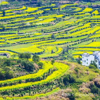 黄山风景区+婺源篁岭+西递+宏村景区5日4晚拼小团 黄山风景区+婺源篁岭+西递+宏村景区5日4晚拼小团