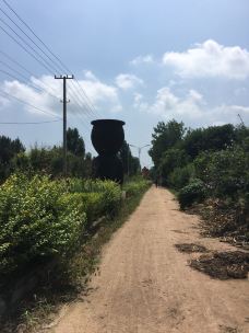 【携程攻略】日照两城镇遗址图片,日照两城镇遗址风景图片,两城镇遗址