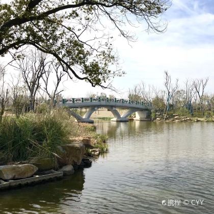 上海2日1晚跟团游 上海2日1晚跟团游
