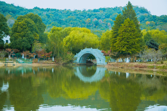 游走最美沙洲,一场邂逅江南晚秋的旅行(含人像拍摄技巧)