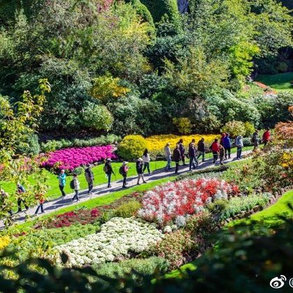 加拿大维多利亚+布查德花园+维多利亚内港+不列颠哥伦比亚省议会大厦一日游