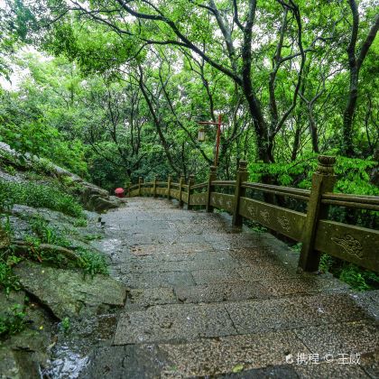 浙江普陀山+洛迦山2日1晚跟团游 浙江普陀山+洛迦山2日1晚跟团游