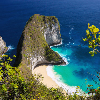 巴厘岛佩妮达岛+天神浴池（佩妮达岛）一日游