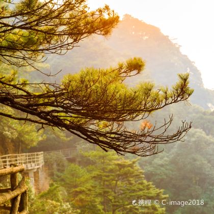 庐山2日1晚跟团游