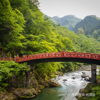 日本东京+日光市+鬼怒川温泉7日6晚自由行