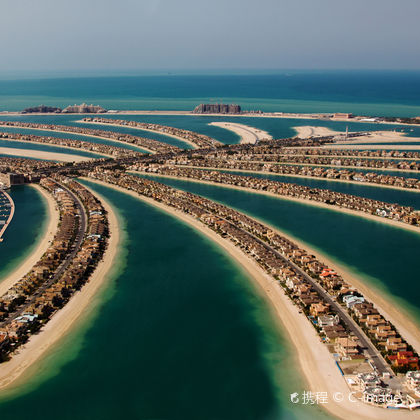迪拜相框+哈利法塔+迪拜海豚馆+朱美拉公共海滩一日游