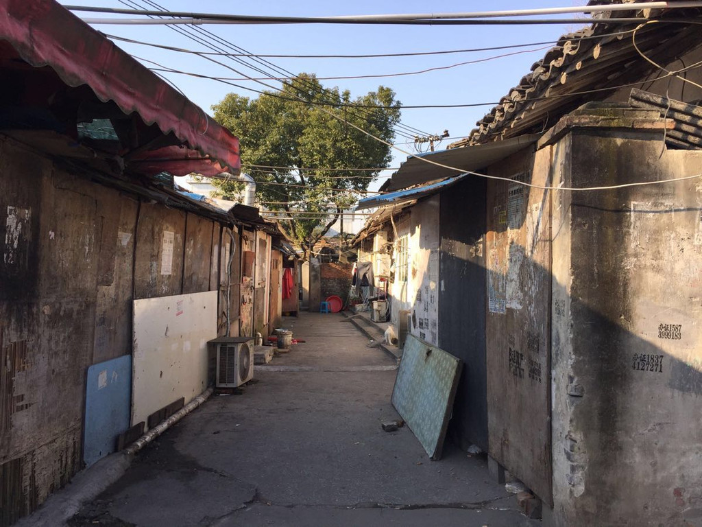 元宵之后首个徒步日,徒步闵行绿道顺便逛了颛桥老街一一南北街,来回18