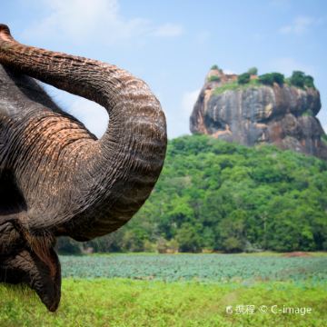 斯里兰卡+马尔代夫9日7晚跟团游 斯里兰卡+马尔代夫9日7晚跟团游