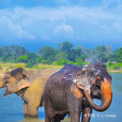 尼泊尔加德满都+奇旺+博卡拉+蓝毗尼+纳加阔特10日9晚拼小团 尼泊尔加德满都+奇旺+博卡拉+蓝毗尼+纳加阔特10日9晚拼小团