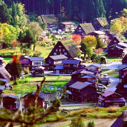 日本名古屋+飞驒高山+白川乡一日游