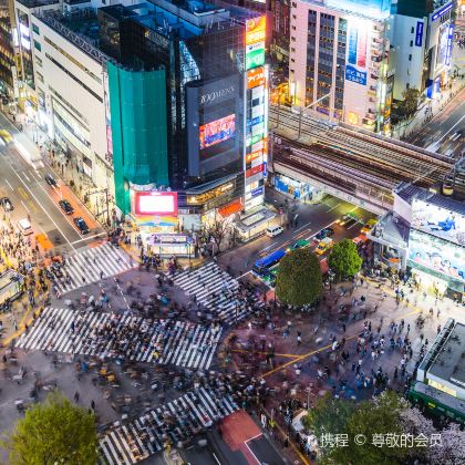 日本东京华纳兄弟哈利波特影城+东京迪士尼乐园+涩谷4日3晚私家团