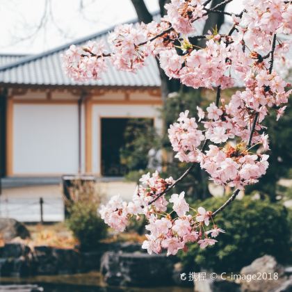 京都+大阪+奈良5日4晚私家团