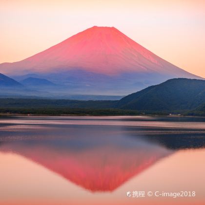 日本东京+富士河口湖町6日自由行