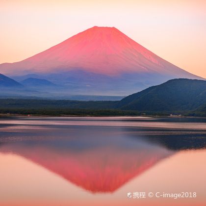 富士山五合目+大室山+镰仓高校前二日游