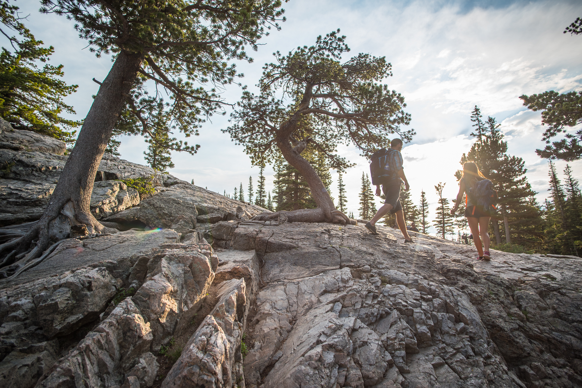 丹佛+洛矶山国家公园一日游【来自落基山脉的视觉震撼】 丹佛+洛矶山国家公园一日游【来自落基山脉的视觉震撼】