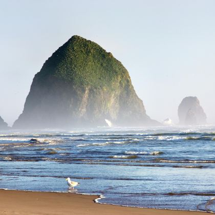 波特兰日本花园+国际玫瑰试验园+卡农海滩一日游 波特兰日本花园+国际玫瑰试验园+卡农海滩一日游