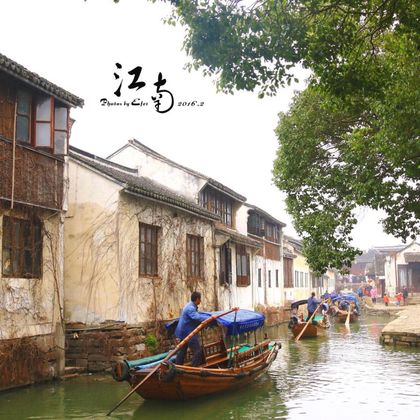 苏州拙政园+寒山寺+周庄一日游【优品-严选-深度讲解】 苏州拙政园+寒山寺+周庄一日游【优品-严选-深度讲解】