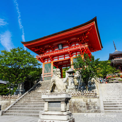 日本清水寺+三年坂二年坂+花见小路 艺妓 前京都花街柳巷+八坂神社+奈良公园一日游