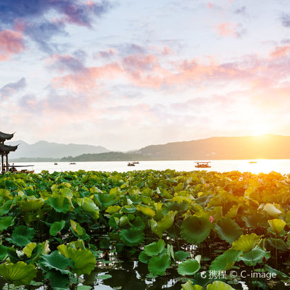 西湖风景名胜区+西湖游船+雷峰塔一日游