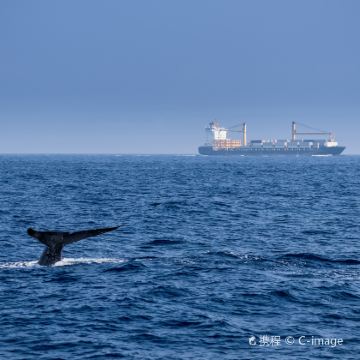 斯里兰卡9日7晚跟团游 斯里兰卡9日7晚跟团游