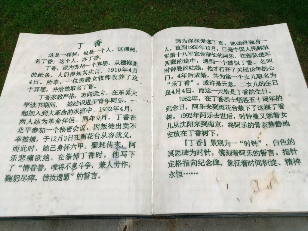 雨花台丁香