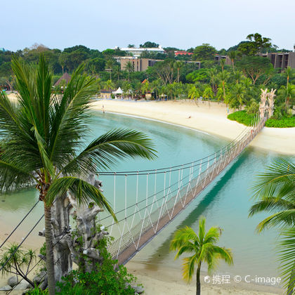 新加坡新加坡圣淘沙岛+新加坡滨海湾花园+新加坡摩天观景轮一日游