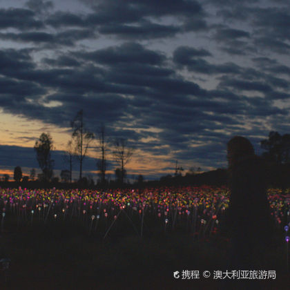 澳大利亚乌鲁鲁-卡塔丘塔国家公园半日游 澳大利亚乌鲁鲁-卡塔丘塔国家公园半日游
