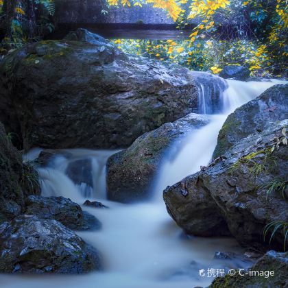 成都+乐山+峨眉山+都江堰+青城山5日4晚自由行